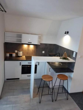 Apartament z widokiem na góry u Bronka Małe Ciche